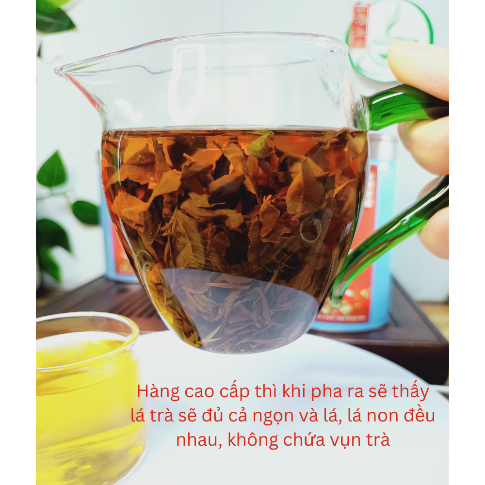 Hộp 100 Gam Trà Đông Phương Mỹ Nhân (Oriental Beauty) Thuộc Dòng Trà Ô Long Đài Loan Loại Xịn Cao Cấp - Ảnh 6