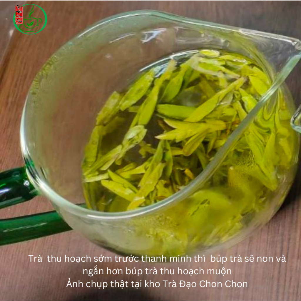 Trà Long Tỉnh Minh Tiền Khu Tiền Đường Loại Đặc Biệt Bản Vàng Hàng Xịn Chính Hãng Hộp 50 Gam - Ảnh 6